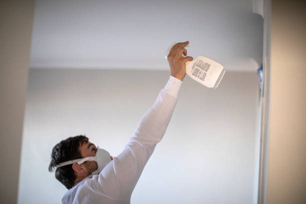 Best Affordable Mold Removal  in Woodlawn Beach, FL