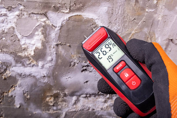 Best Water Damage Restoration  in Woodlawn Beach, FL